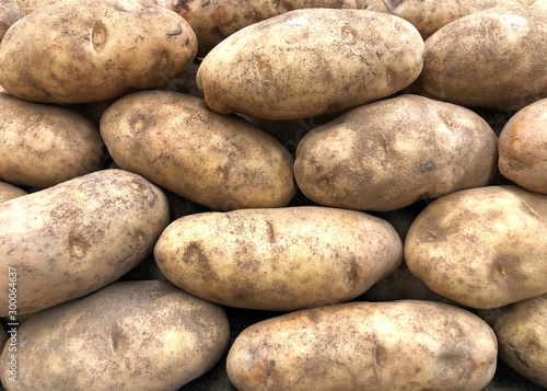 Canvas Print Close up on pile of Russet Potatoes, also known as Idaho potatoes in the U