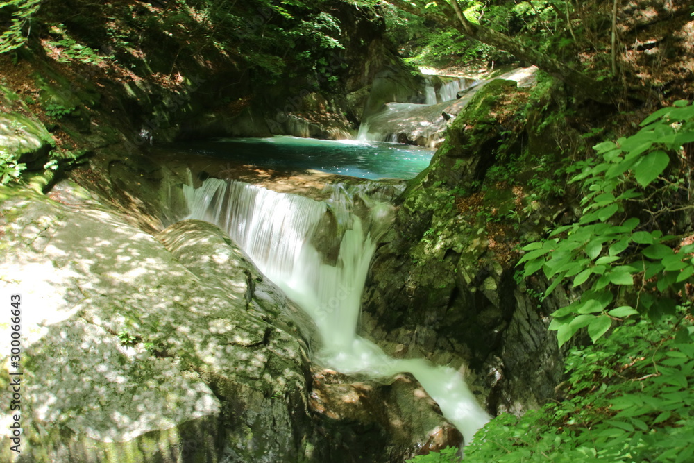 Obraz premium 西沢渓谷の滝