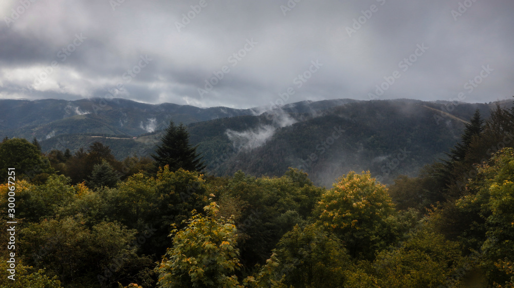 Obraz premium Hiking GR5 through the Vosges