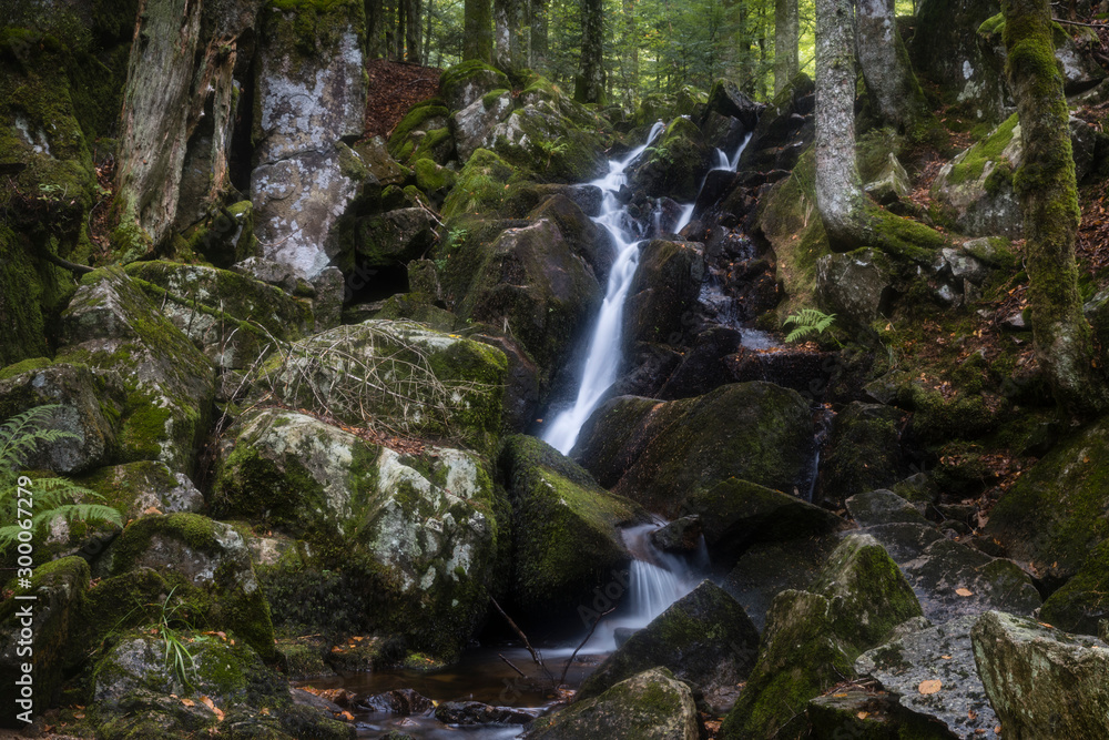 Fototapeta premium Hiking GR5 through the Vosges
