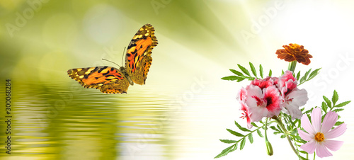 butterflies and flowers above water closeup © cooperr