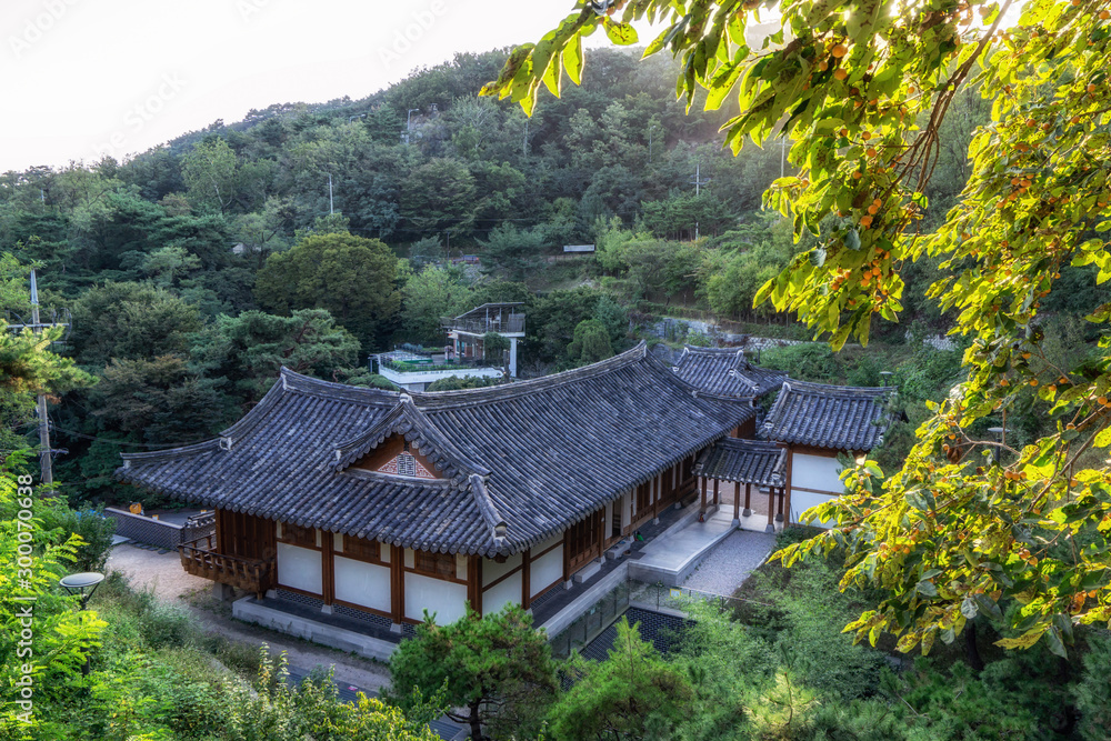 cheongun literature library