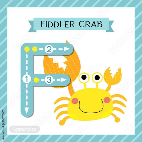 Letter F uppercase tracing. Fiddler Crab