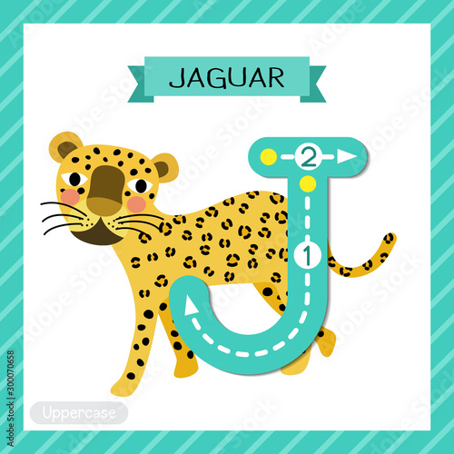 Letter J uppercase tracing. Walking Jaguar