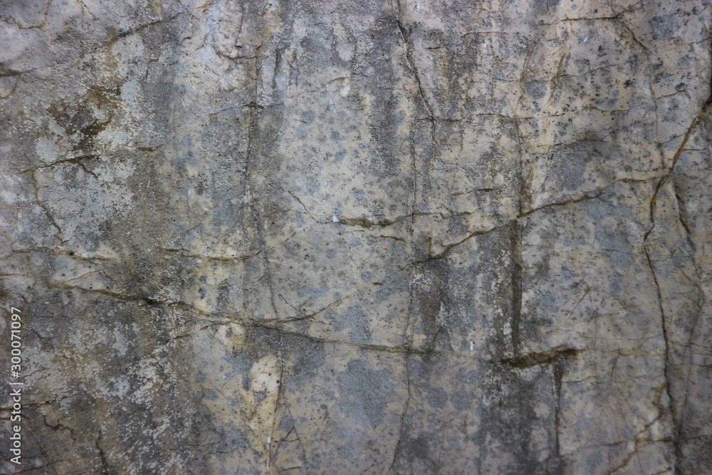 Obraz premium old stone texture as a background