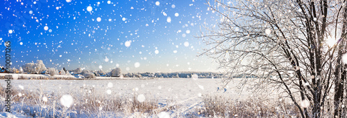 snowy winter landscape