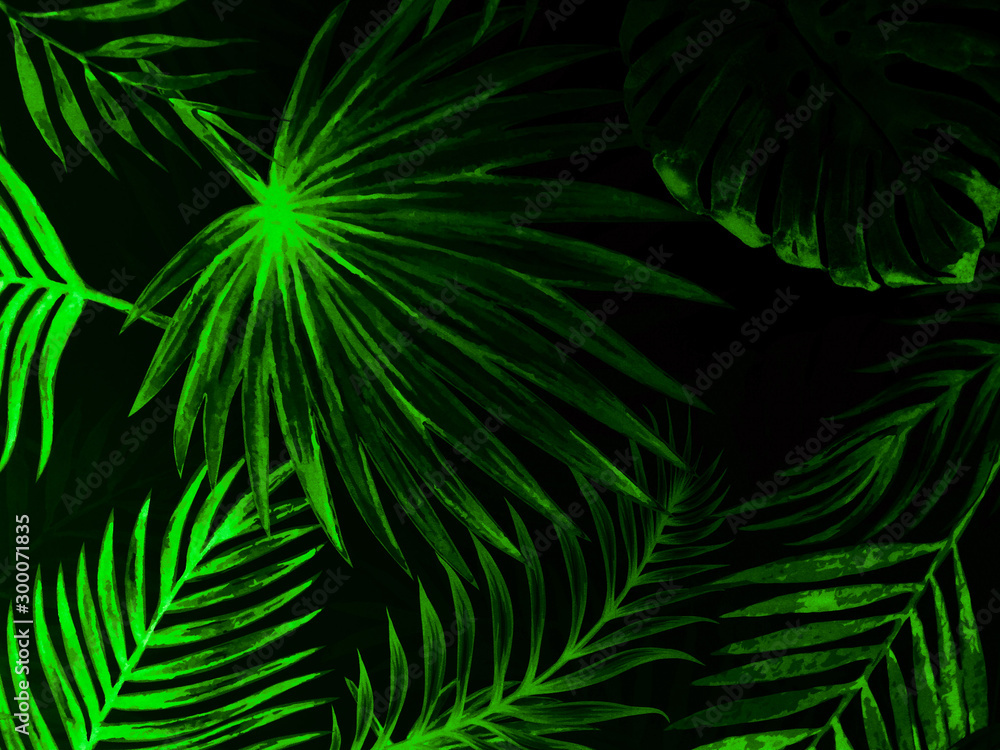 Beautiful abstract dark and green leaves on white with a natural background and white green tree leaf on darkness texture pattern