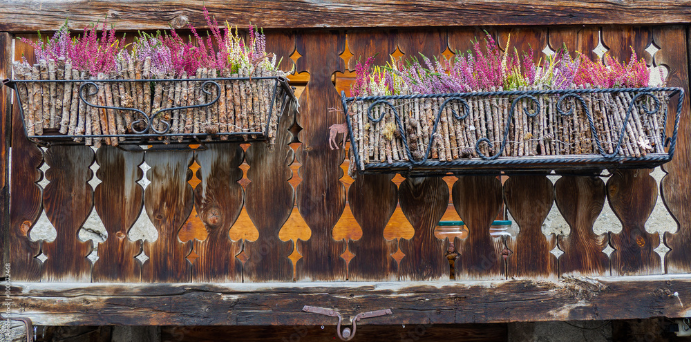 Colored heather plants in a wooden case. Autumn context. Brown background