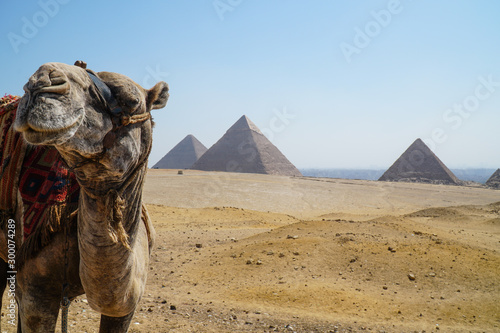 the Pyramids of Giza  Egypt