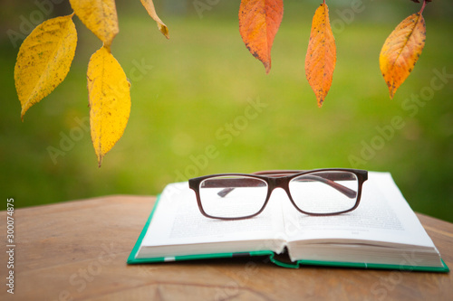 Closed, green book with glasses in the autumn garden on the table. Yellow leaves in the background.