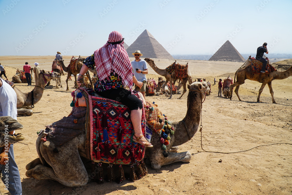 Fototapeta premium Pyramids of Giza, Egypt