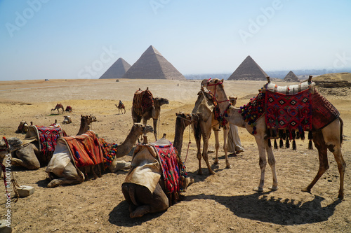 the Pyramids of Giza, Egypt