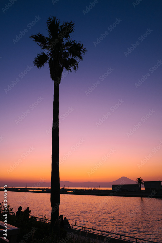 江ノ島と富士山 黄昏のサンセット 日本 縦 Stock-Foto | Adobe Stock