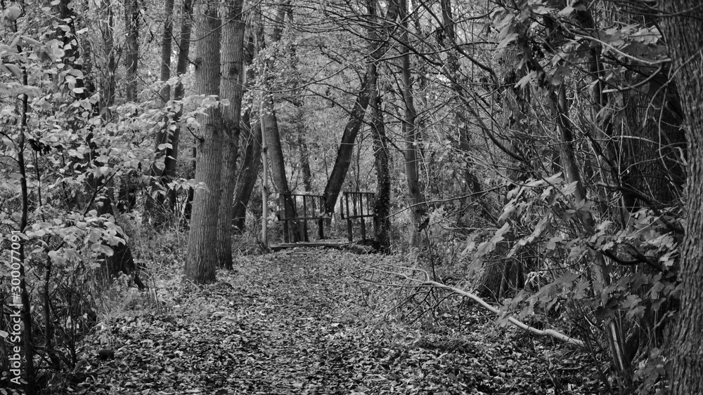 Obraz premium Brücke am Zülowsee 02