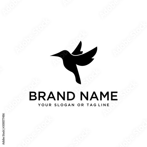 bird design logo vector white background template