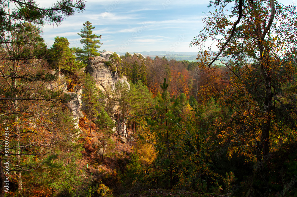 Autumn forest, castle, rocks Autumn forest, castle, rocks