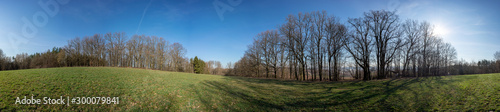 Panorama of agricultural field at sunny day