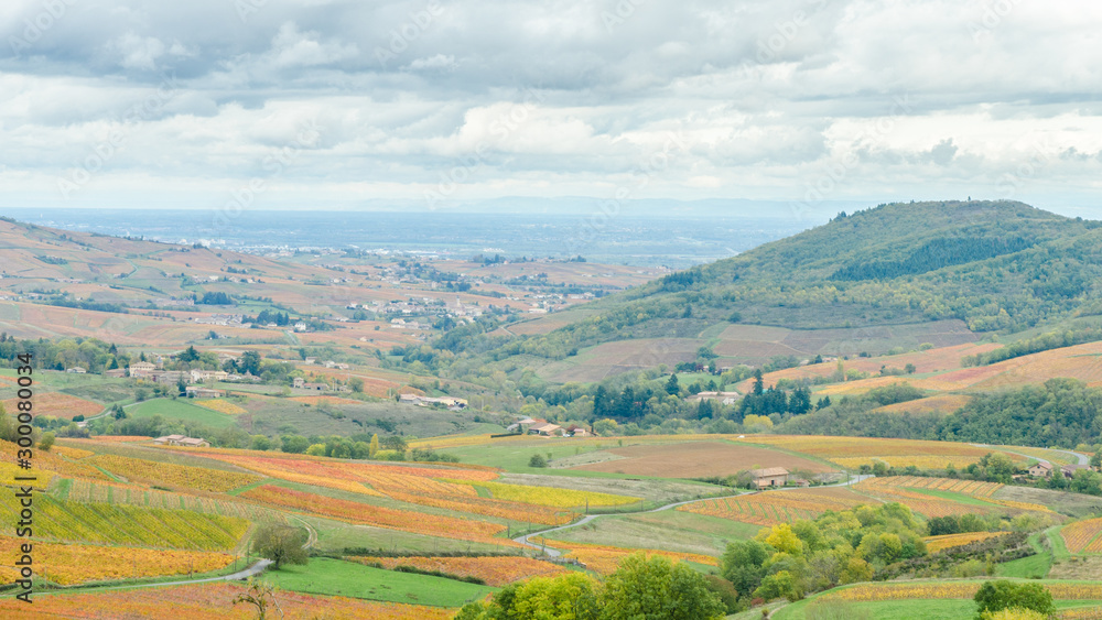 Le Beaujolais en automne