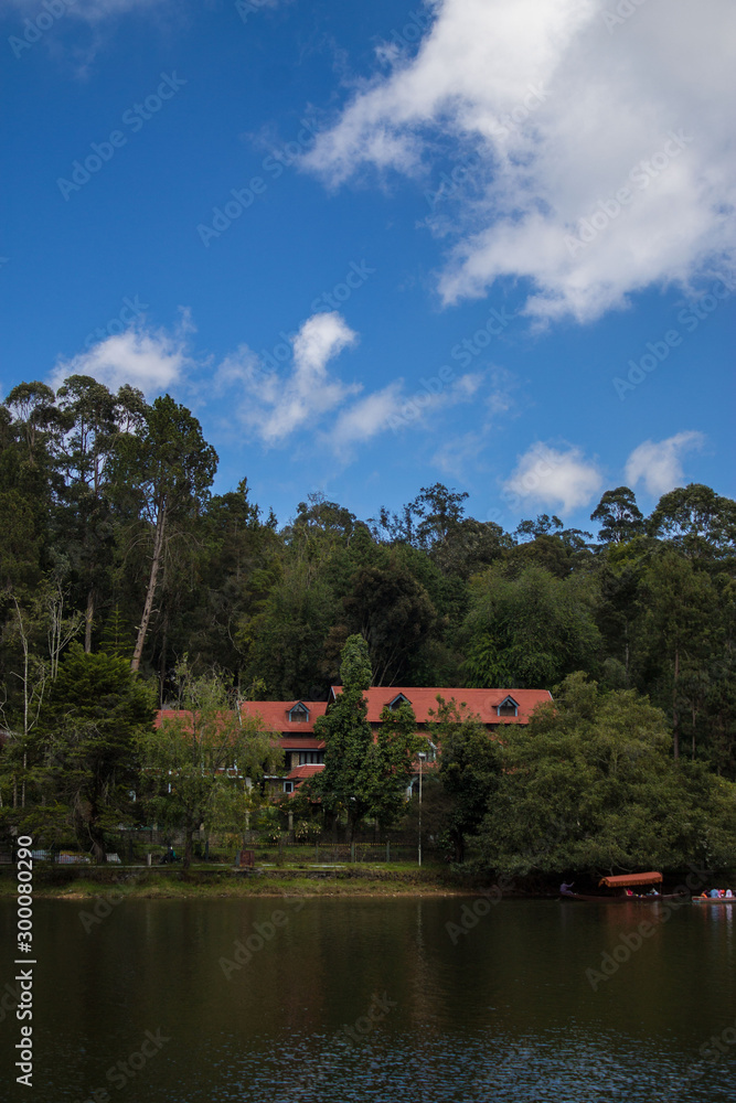 Obraz premium house in park