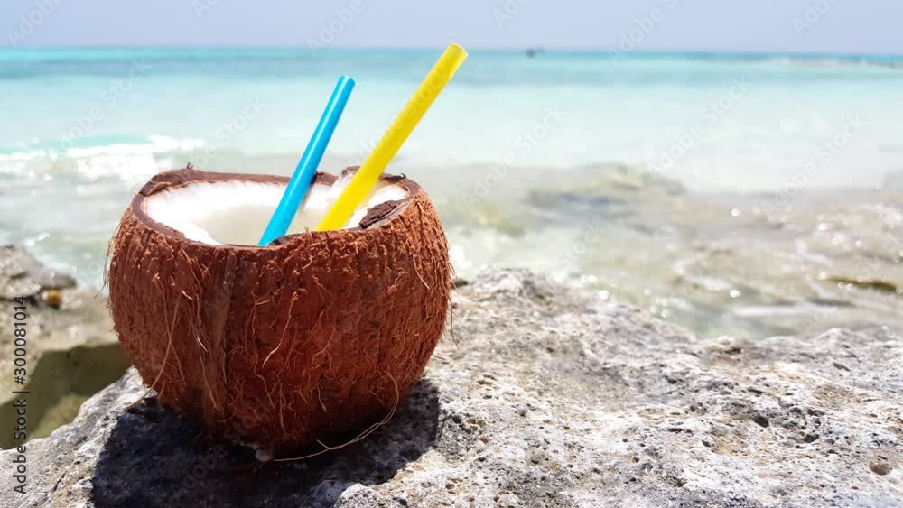 coconut with two straws sitting on a rock next to a tropical beach with the waves crashing on the shore , Bahamas coconut with two straws sitting on a rock next to a tropical beach with the waves crashing on the shore , Bahamas