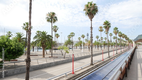 Photography Palmenallee in Barcelona
