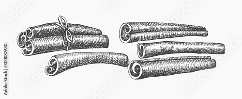 Hand drawn set of cinnamon sticks. Spicy spices on a light isolated background. Organic food concept. Vector illustration.