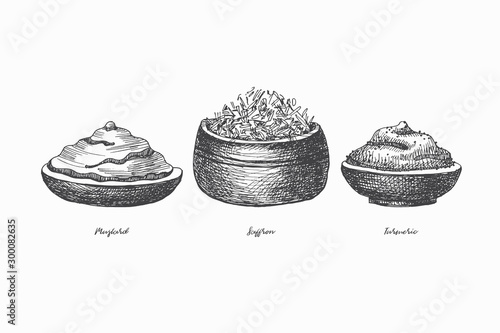 Hand drawn set of spices for cooking. Spicy spices: turmeric, mustard, saffron on a light isolated background. Organic food concept. Vector illustration.