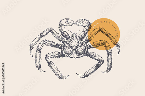 Hand drawn black and white king crab on a light isolated background. It can be used for the design of the menu of fish restaurants, for packaging in markets and in stores. Vector vintage illustration.