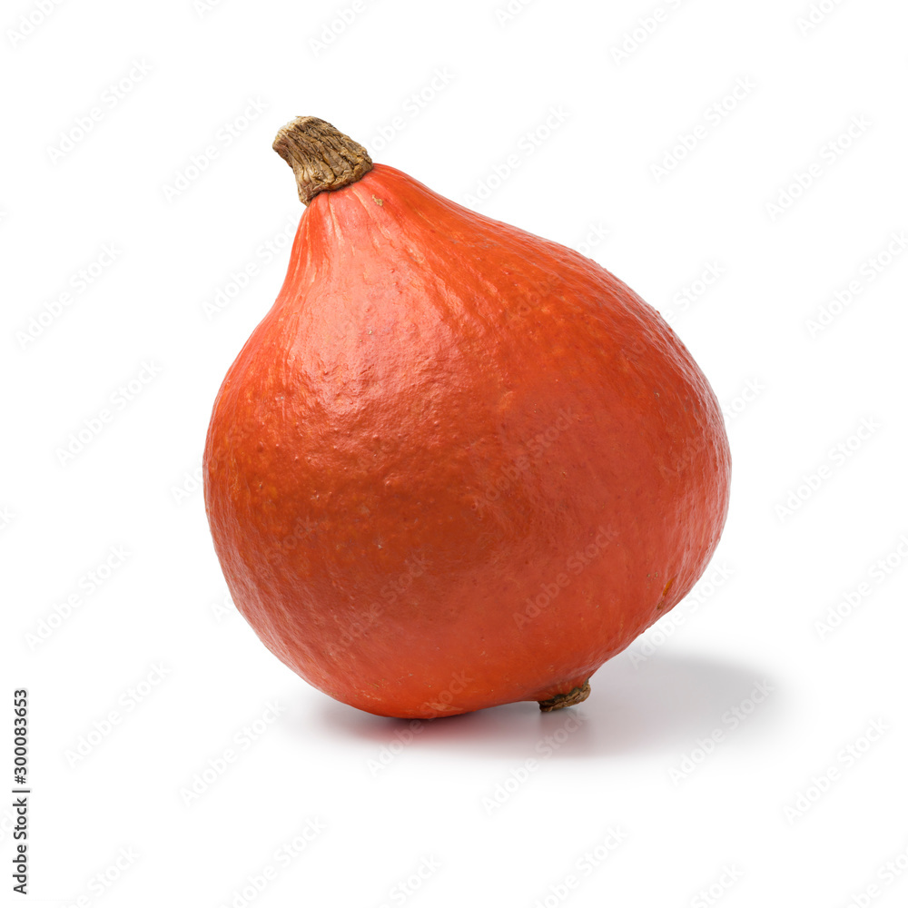 Single orange Hokkaido pumpkin