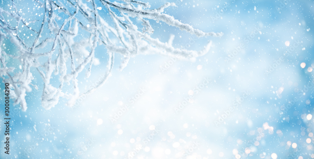 Winter background with snowy and iced branches of trees on blue sky backdrop. Christmas or New Year winter concept. - obrazy, fototapety, plakaty 