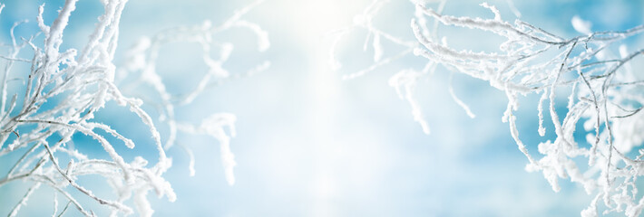 Winter background with snowy and iced branches of trees on blue sky backdrop. Christmas or New Year winter concept.