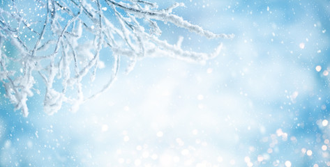 Winter background with snowy and iced branches of trees on blue sky backdrop. Christmas or New Year winter concept.