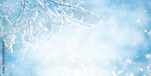 Winter background with snowy and iced branches of trees on blue sky backdrop. Christmas or New Year winter concept.