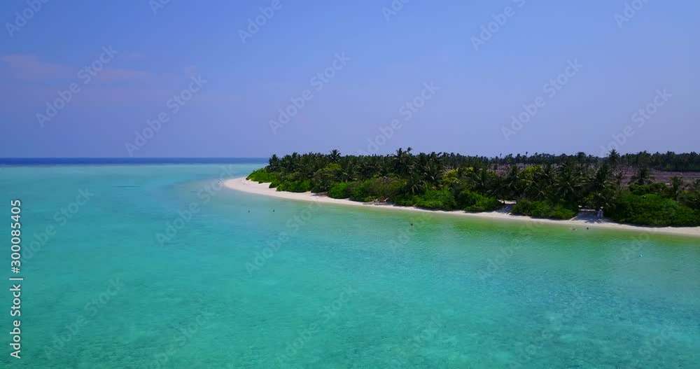 Tropical island in the Caribbean, green palm trees and white sand beach, drone video Tropical island in the Caribbean, green palm trees and white sand beach, drone video