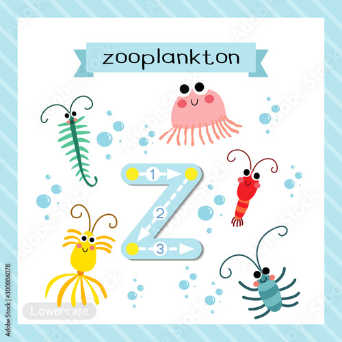 Letter Z lowercase tracing. Zooplankton
