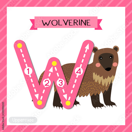 Letter W uppercase tracing. Wolverine