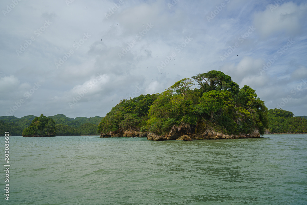 Los Haitises National Park is multicolored tropical birds and manatees. The coast is dotted with small islets where frigates and pelicans nest.Samana peninsula, Dominican Republic.