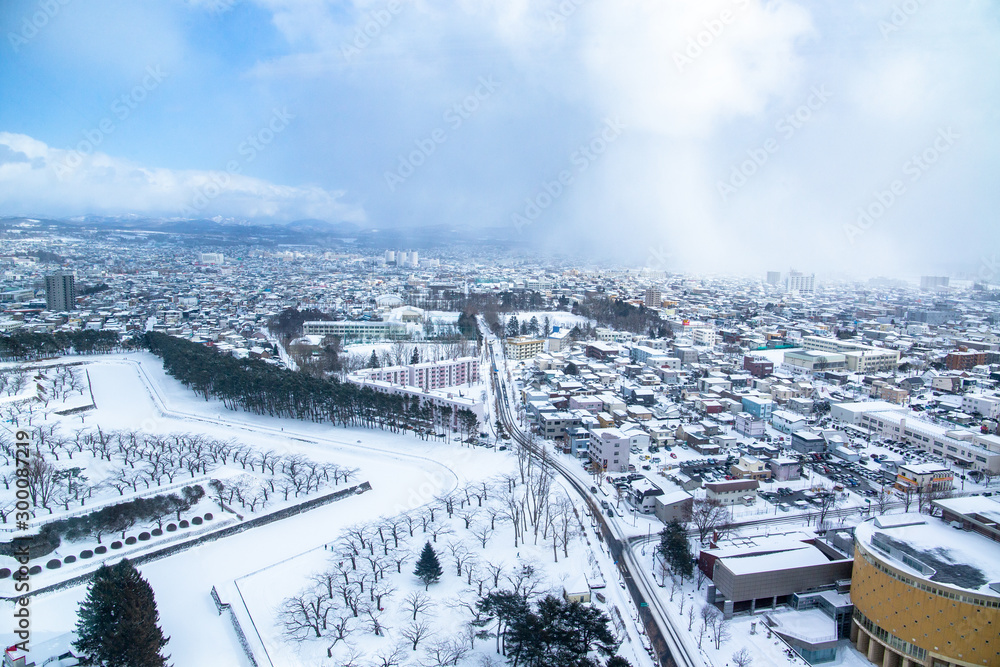 Obraz premium 冬の北海道 函館
