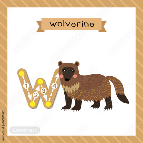 Letter W lowercase tracing. Wolverine