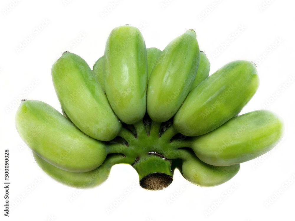 Fresh green raw Cultivated Banana (Nam wa Banana) isolated on white background.  Bananas are a healthy source of fiber, vitamin A,B,C. potassium, calcium, etc . Green bananas/ Fresh green raw banana 