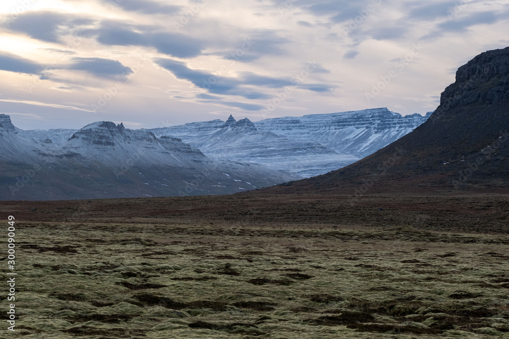 Moosbedeckte Landschaft mit Örkin und Kmbur am Reykjarfjörður bei der Ortschaft Djupavik in den isländischen Westfjorden Moosbedeckte Landschaft mit Örkin und Kmbur am Reykjarfjörður bei der Ortschaft Djupavik in den isländischen Westfjorden