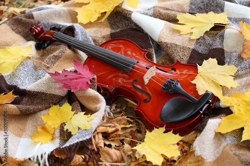 violin and autumn leaves