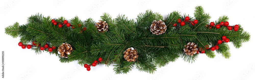 Fir tree branch decor on white Fir tree branch decor on white
