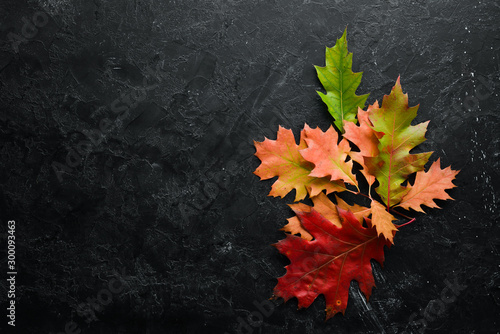 Colorful autumn leaves flat lay. On a black stone background. Top view. Free space for your text.