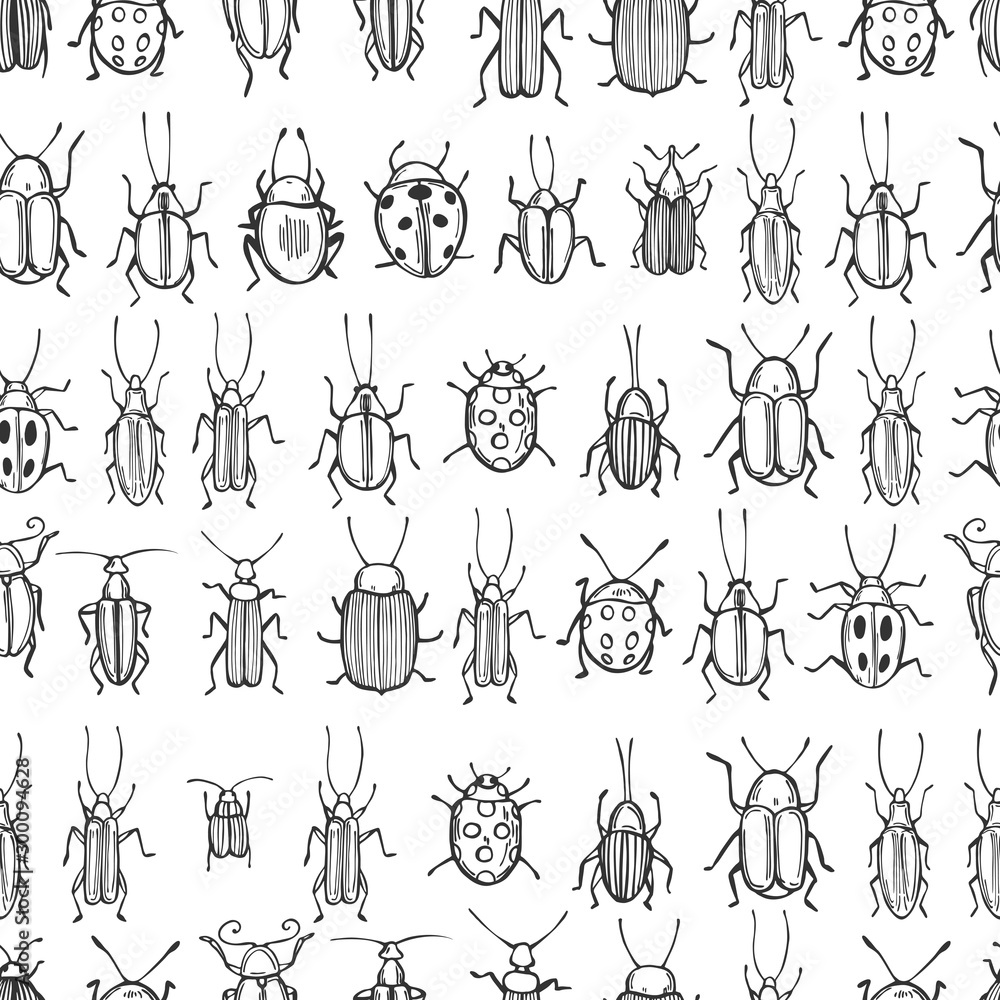 Fototapeta premium Hand drawn beetles on white background. Vector seamless pattern
