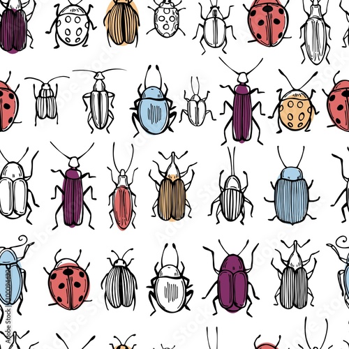 Hand drawn beetles on white background. Vector seamless pattern