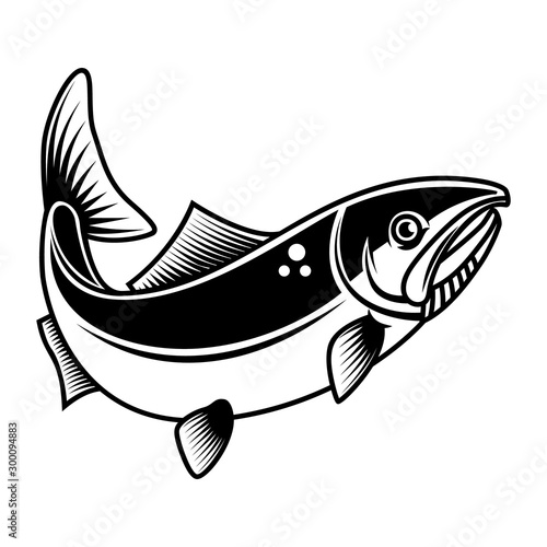 Illustration of the salmon fish isolated on white background. Design element for logo, label, badge, sign. Vector illustration