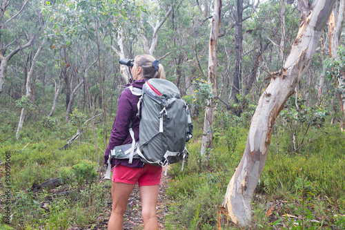 Woman in bushland forest of eucalyptus and gum trees loioking through binoculars during a  bushwalk hike
