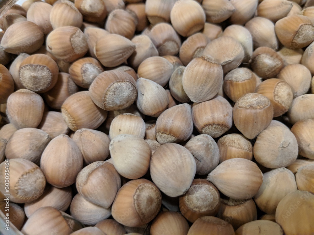 background of hazelnuts background of hazelnuts