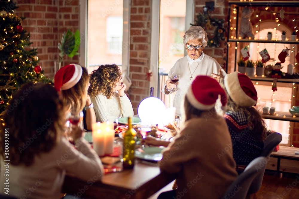 Beautiful group of women smiling happy and confident. On of them holding cup of wine speaking speech celebrating christmas at home Beautiful group of women smiling happy and confident. On of them holding cup of wine speaking speech celebrating christmas at home